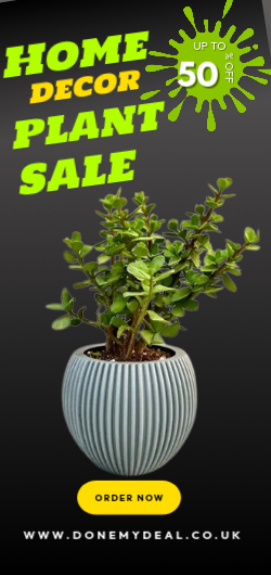 Artificial Plants Uk