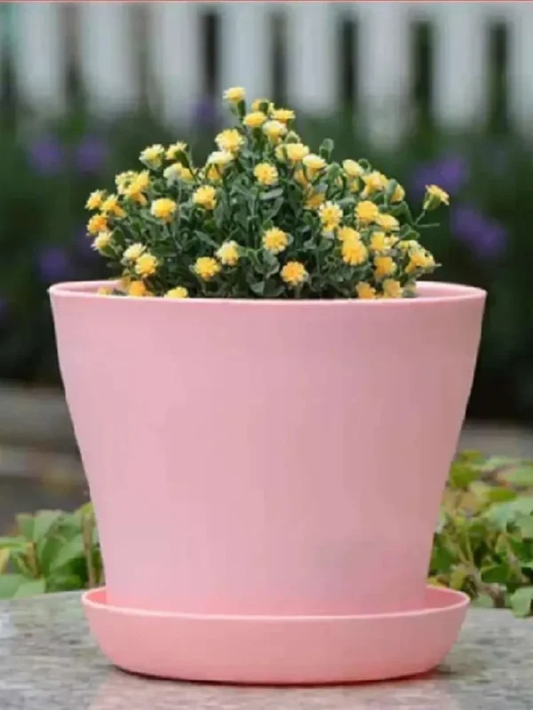 Mini Candy-Colored Round Flower Pots, Quality Succulent Planters, Ideal Home & Office Decorations - Image 5