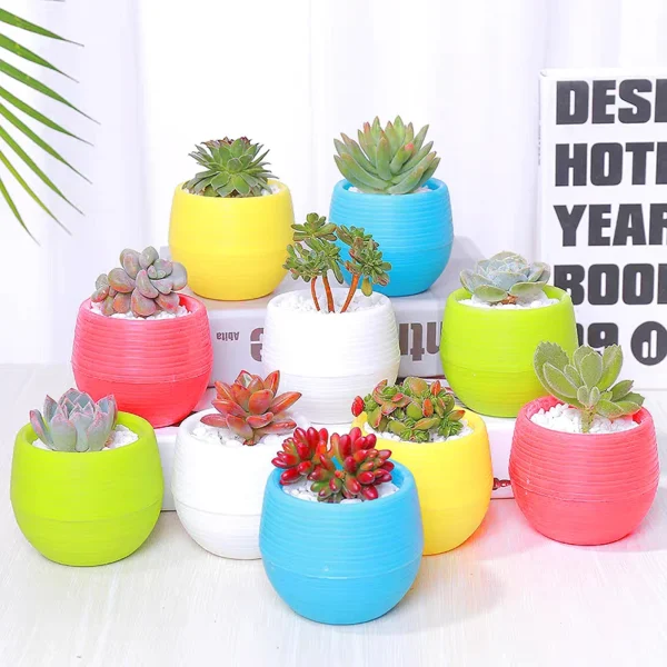 Mini Resin Stone Ball Flower Pot Multiple Colors Automatic Water Storage for Succulent Fleshy Potted Plants Home Garden Supplies - Image 4