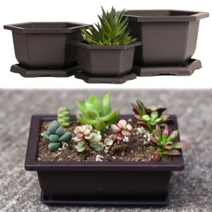 Flowerpots Plastic Plants